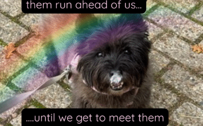 Los laten: You need to feel it to heal it